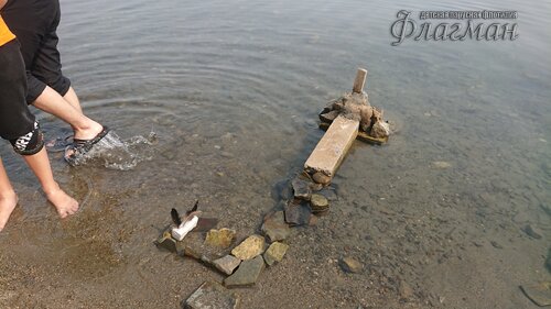 DSC_20220808111759_692_0001_